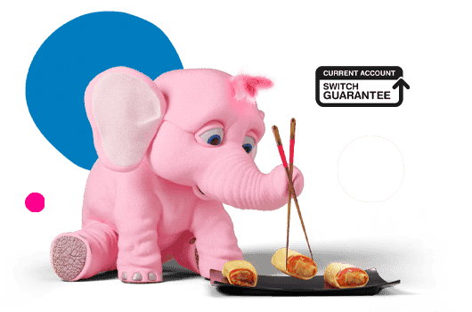 Tiny the elephant using chopsticks to pick food