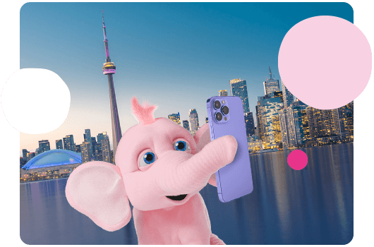 Tiny the elephant taking a selfie in Toronto