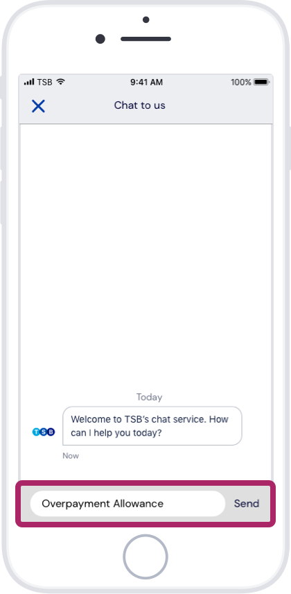 Type 'Overpayment allowance'.
